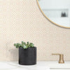 Pergola Lattice Wallpaper Wallpaper York   