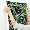 Tropical Paradise Wallpaper Wallpaper York   