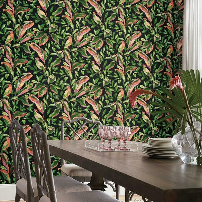 Tropical Love Birds Wallpaper Wallpaper York   