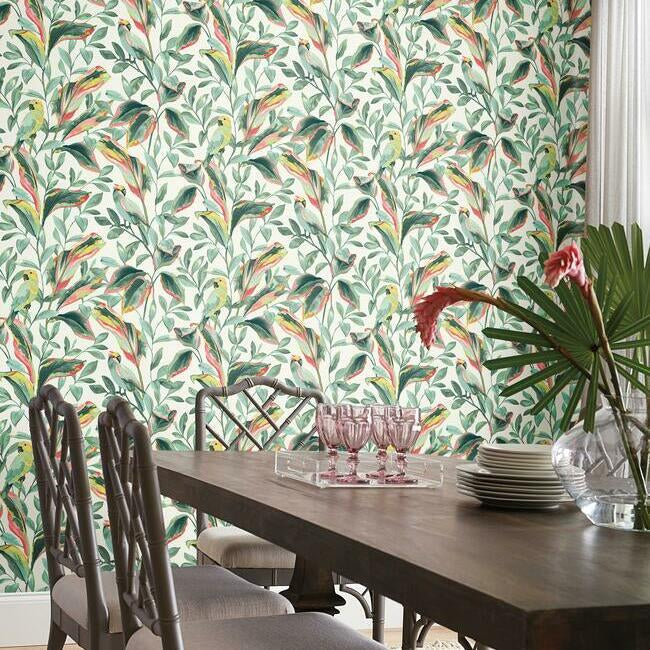 Tropical Love Birds Wallpaper Wallpaper York   