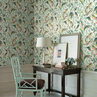 Tropical Love Birds Wallpaper Wallpaper York   