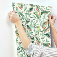 Tropical Love Birds Wallpaper Wallpaper York   