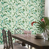 Tropical Love Birds Wallpaper Wallpaper York   