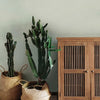 Boucle Wallpaper Wallpaper York   
