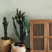 Boucle Wallpaper Wallpaper York   