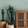 Boucle Wallpaper Wallpaper York   