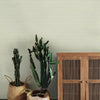 Boucle Wallpaper Wallpaper York   