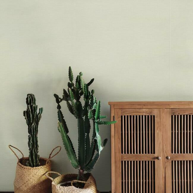 Boucle Wallpaper Wallpaper York   
