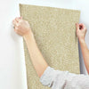 Leopard King Wallpaper Wallpaper York   