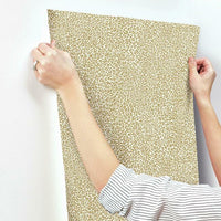 Leopard King Wallpaper Wallpaper York   