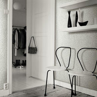 Leopard King Wallpaper Wallpaper York   