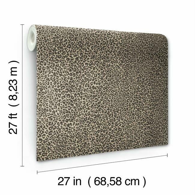 Leopard King Wallpaper Wallpaper York   