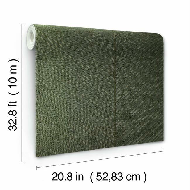 Palm Chevron Wallpaper Wallpaper York   