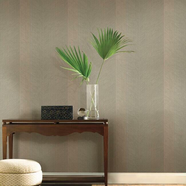 Palm Chevron Wallpaper Wallpaper York   