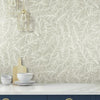 Rainforest Canopy Wallpaper Wallpaper York   