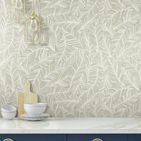 Rainforest Canopy Wallpaper Wallpaper York   