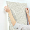 Rainforest Canopy Wallpaper Wallpaper York   