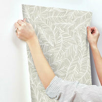 Rainforest Canopy Wallpaper Wallpaper York   