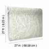 Rainforest Canopy Wallpaper Wallpaper York   