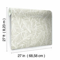 Rainforest Canopy Wallpaper Wallpaper York   