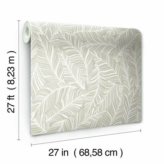 Rainforest Canopy Wallpaper Wallpaper York   
