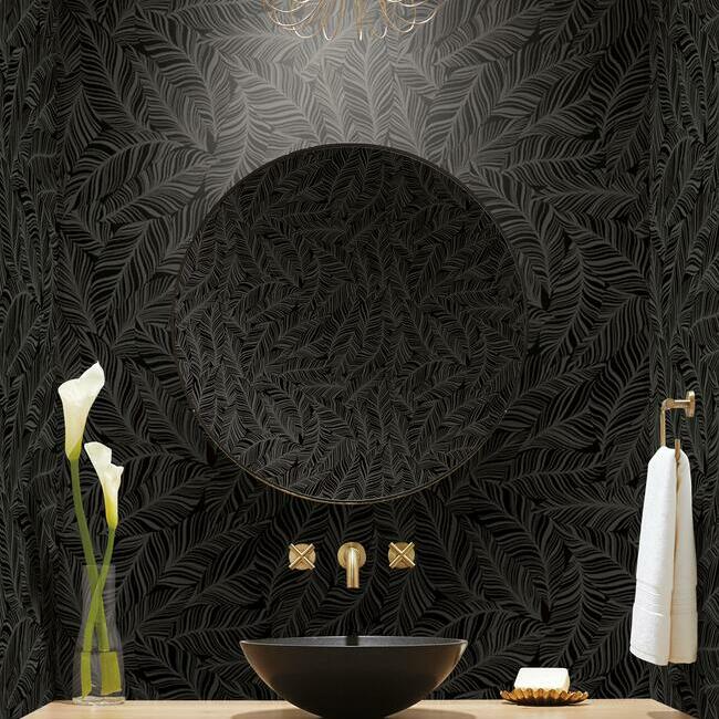 Rainforest Canopy Wallpaper Wallpaper York   