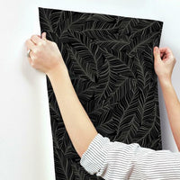Rainforest Canopy Wallpaper Wallpaper York   