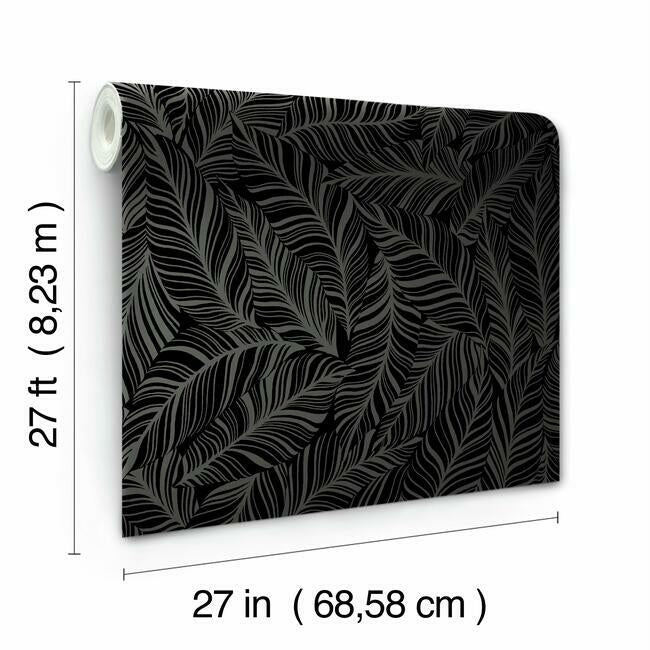 Rainforest Canopy Wallpaper Wallpaper York   