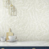 Rainforest Canopy Wallpaper Wallpaper York   