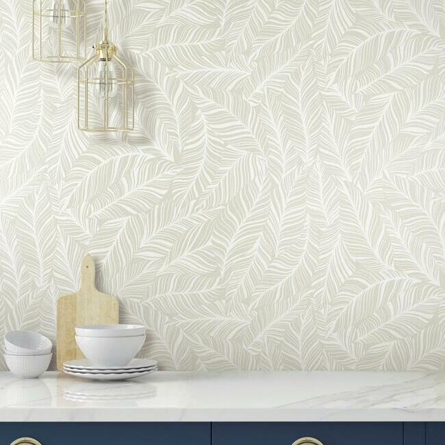 Rainforest Canopy Wallpaper Wallpaper York   