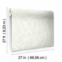 Rainforest Canopy Wallpaper Wallpaper York   