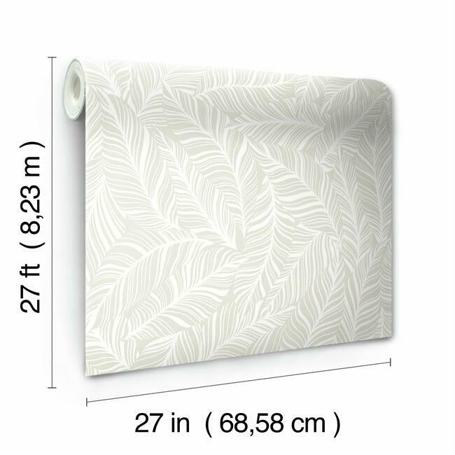 Rainforest Canopy Wallpaper Wallpaper York   