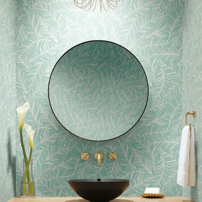 Rainforest Canopy Wallpaper Wallpaper York   