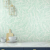 Rainforest Canopy Wallpaper Wallpaper York   