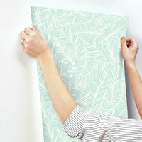 Rainforest Canopy Wallpaper Wallpaper York   