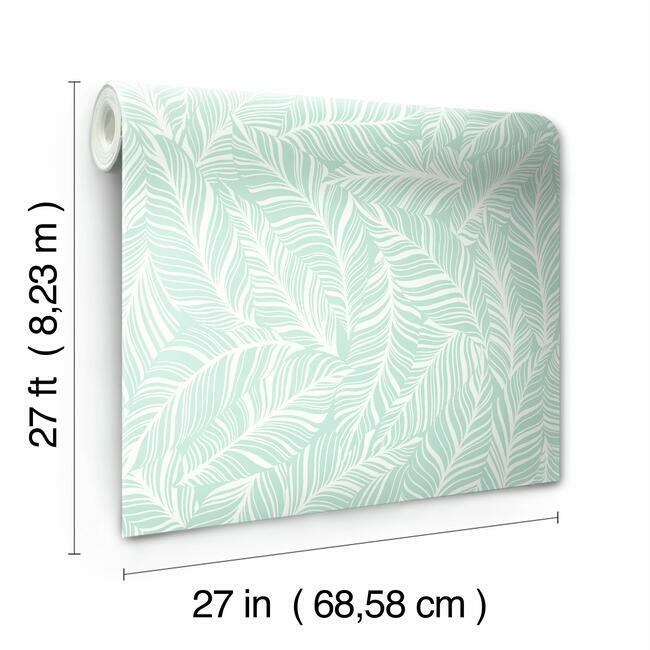 Rainforest Canopy Wallpaper Wallpaper York   