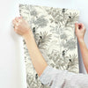 Handpainted Songbird Wallpaper Wallpaper York   