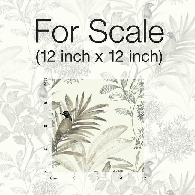 Handpainted Songbird Wallpaper Wallpaper York   