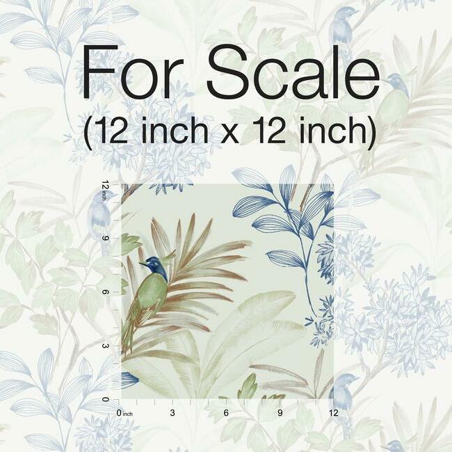 Handpainted Songbird Wallpaper Wallpaper York   