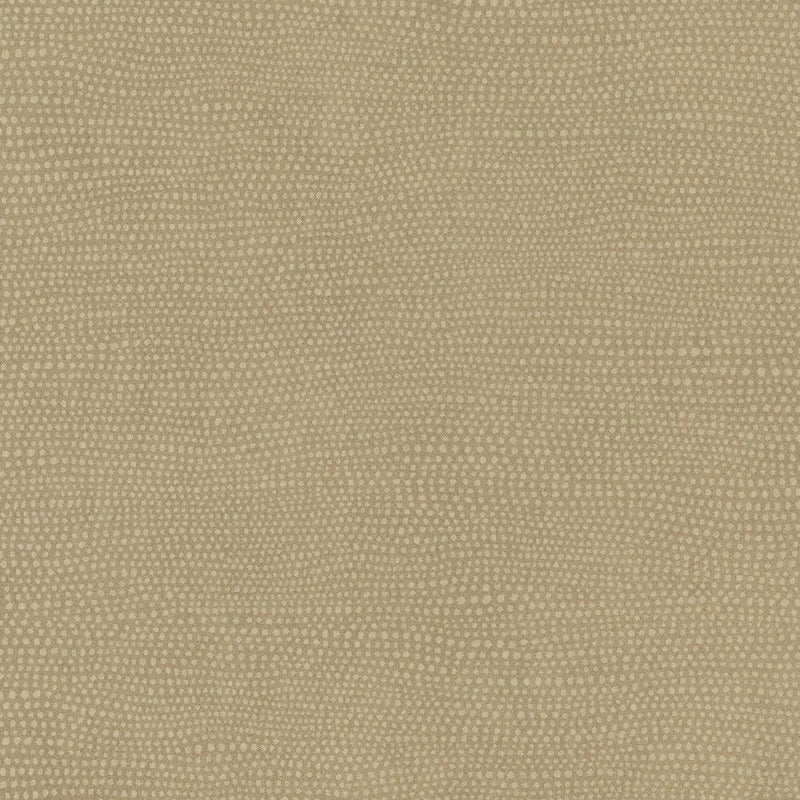 Raised Dots Wallpaper Wallpaper 750 Home Double Roll Soft Brown 