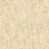 Shimmering Patina Wallpaper Wallpaper Antonina Vella Double Roll Gold On White 