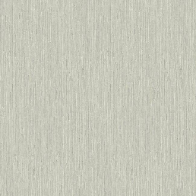 Seagrass Wallpaper Wallpaper York Designer Series Double Roll Light Grey 