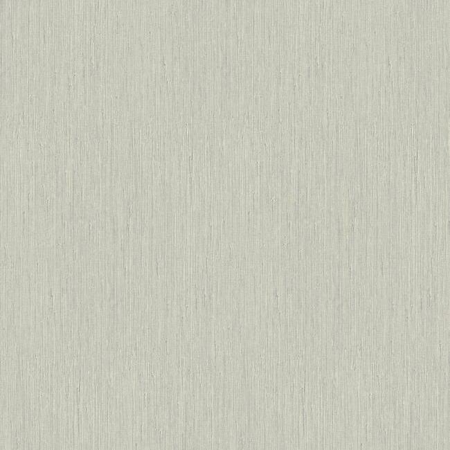 Seagrass Wallpaper Wallpaper York Designer Series Double Roll Light Grey 