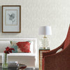 Feathers Wallpaper Wallpaper Antonina Vella   