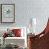 Feathers Wallpaper Wallpaper Antonina Vella   