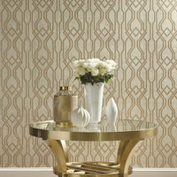 Balanced Trellis Wallpaper Wallpaper Ronald Redding Designs   