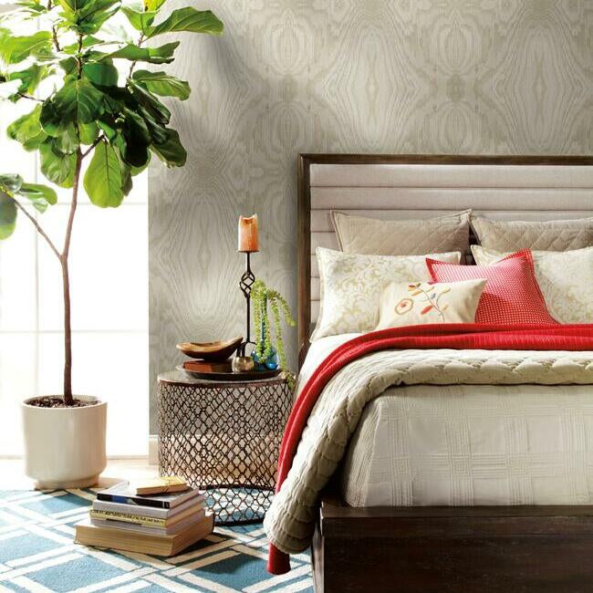 Driftwood Grain Wallpaper Wallpaper York   