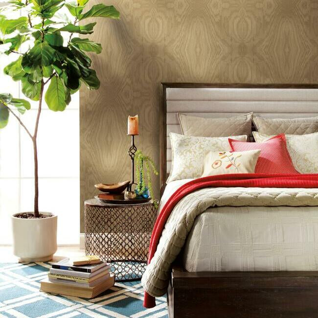 Driftwood Grain Wallpaper Wallpaper York   