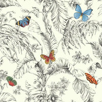 Papillon Wallpaper Wallpaper Ashford House Double Roll Primary 