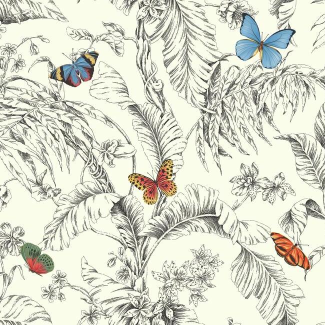 Papillon Wallpaper Wallpaper Ashford House Double Roll Primary 